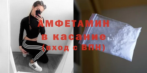 амф Бородино