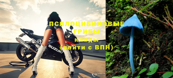 спиды Бронницы