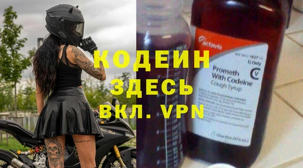 амф Бородино